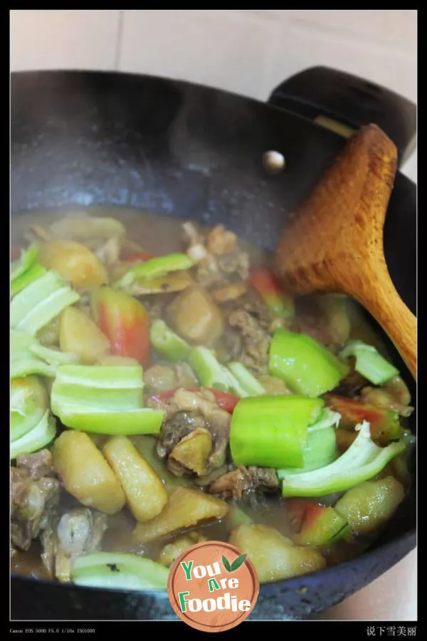 Xinjiang Dapan chicken