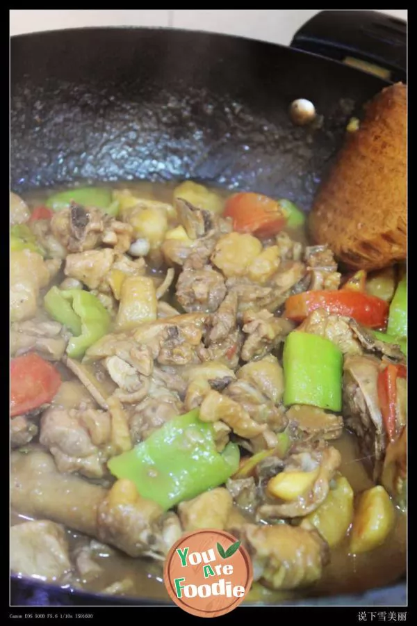 Xinjiang Dapan chicken
