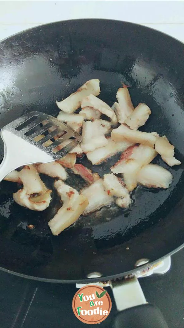 Farmhouse fried meat