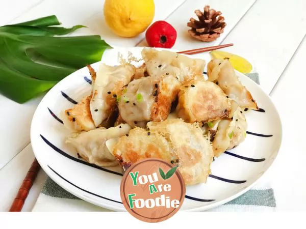 Fried dumplings with pork and cabbage