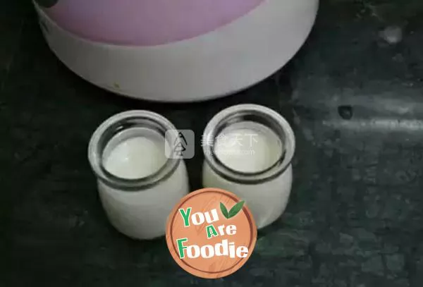 Homemade yogurt