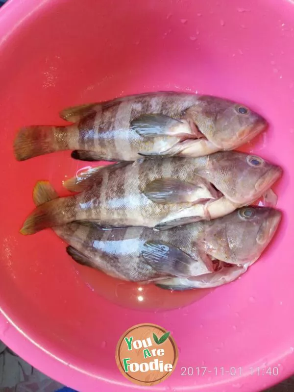 Steamed yellow diced fish