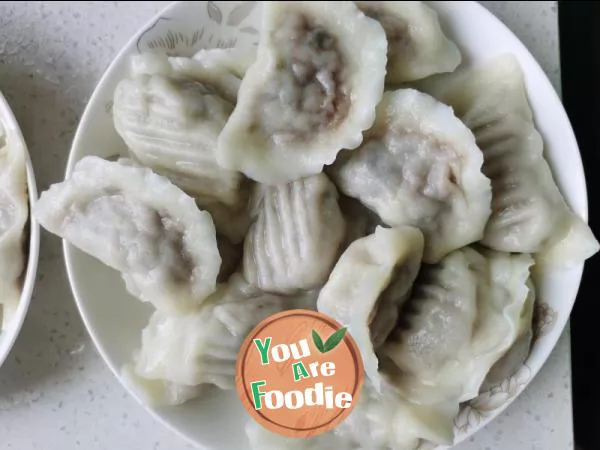 Eggplant-stuffed-dumplings