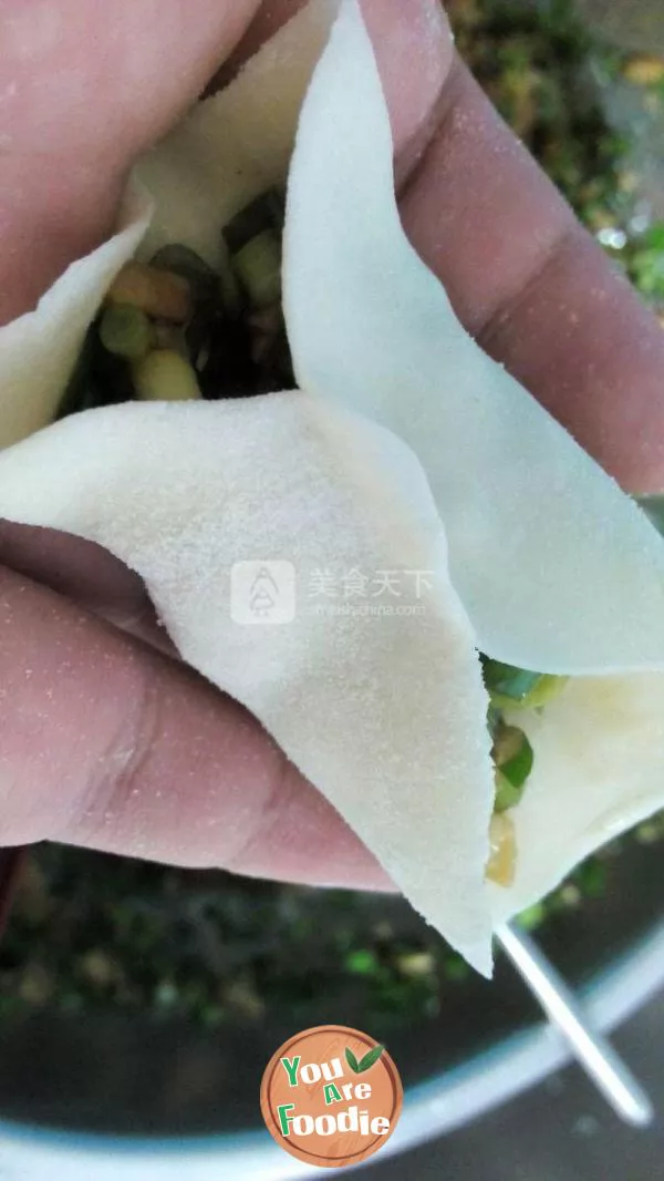 Handmade dumplings with leeks, mushrooms and pork