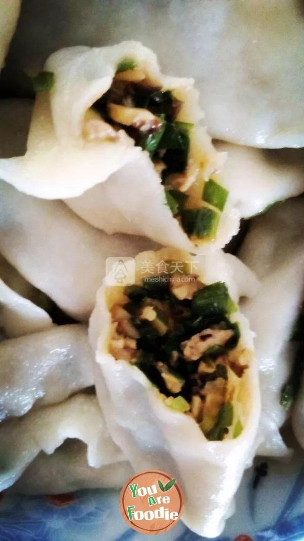 Handmade dumplings with leeks, mushrooms and pork