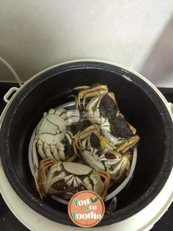 Yangcheng Lake hairy crab