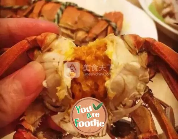 Yangcheng Lake hairy crab