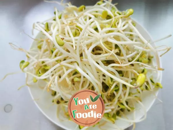 Stir fried soybean sprouts