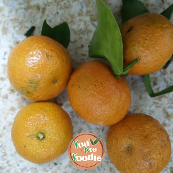 Jujube apple orange water