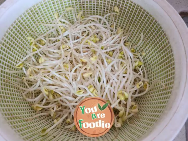 Braised Noodles with Pork Slices and Soybean Sprouts