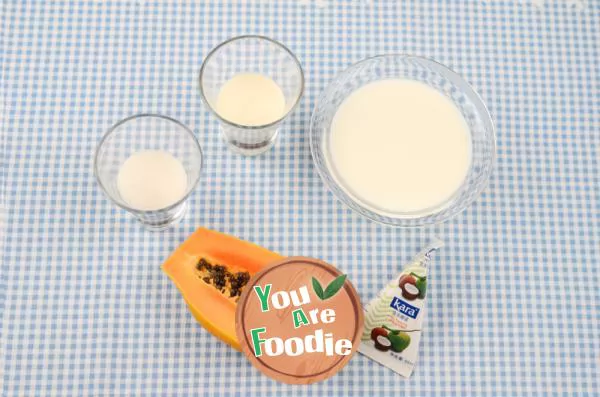 DIY papaya coconut milk ice cream