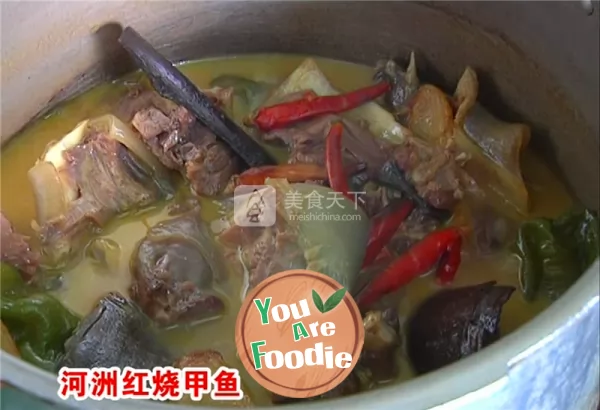 Braised turtle in brown sauce in Hezhou