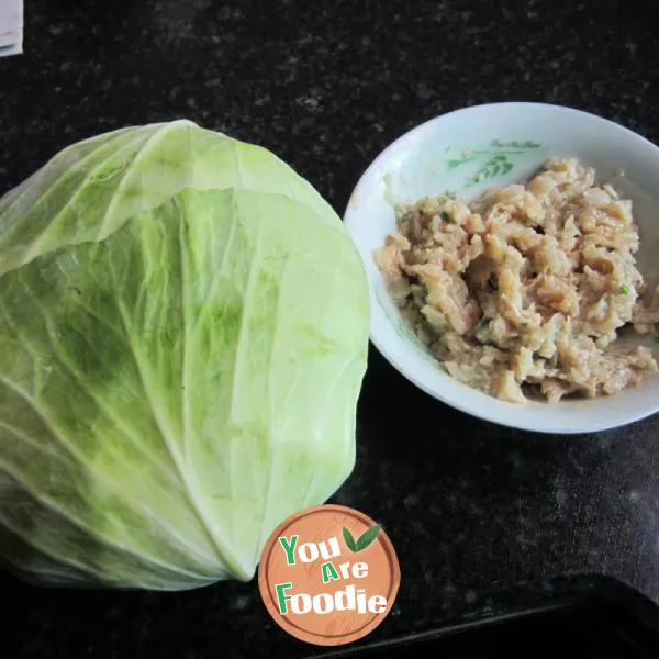 Pan fried green cabbage rolls