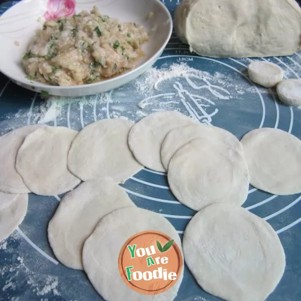 Dumplings stuffed with pork and cabbage