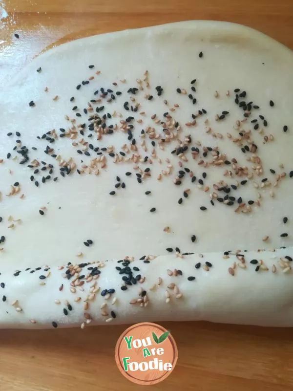 Deep fried black and white sesame Youbing (Deep-fried round and flat dough-cake)