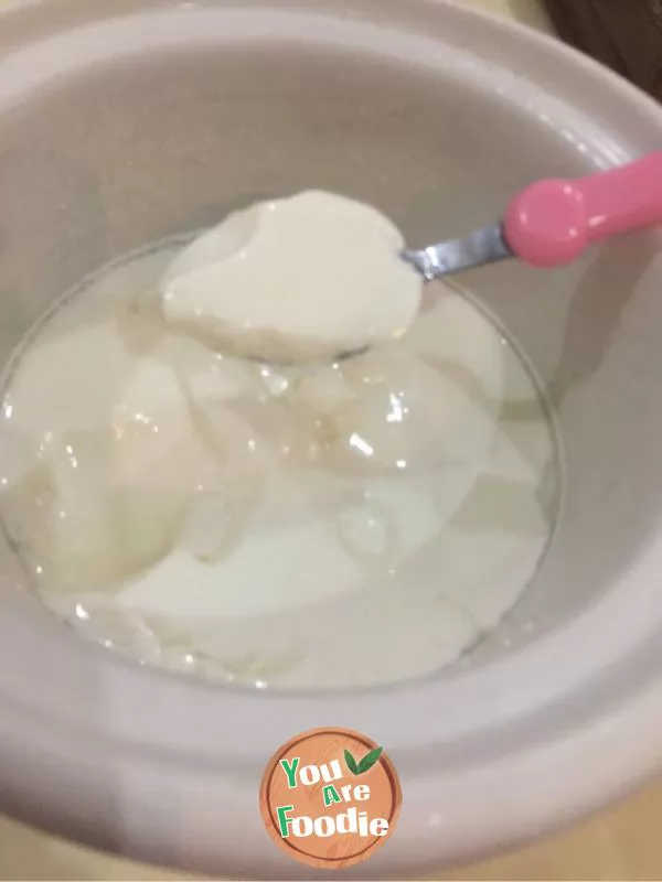 Yogurt (electric cooker version)