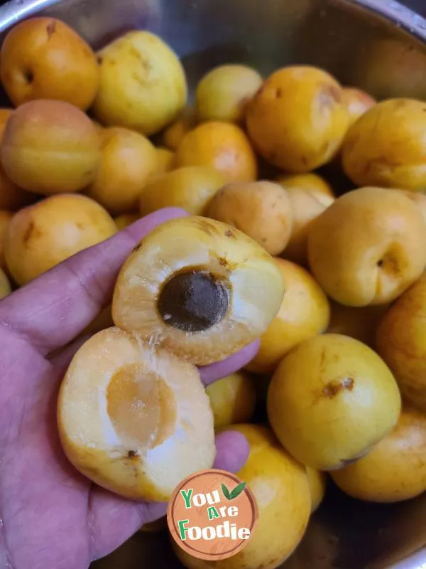 Canned apricots