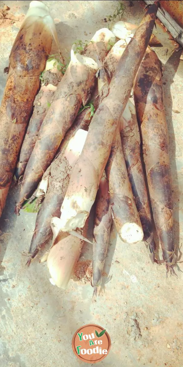 braised bamboo shoot