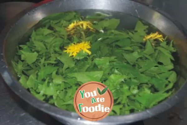 Dandelion salad