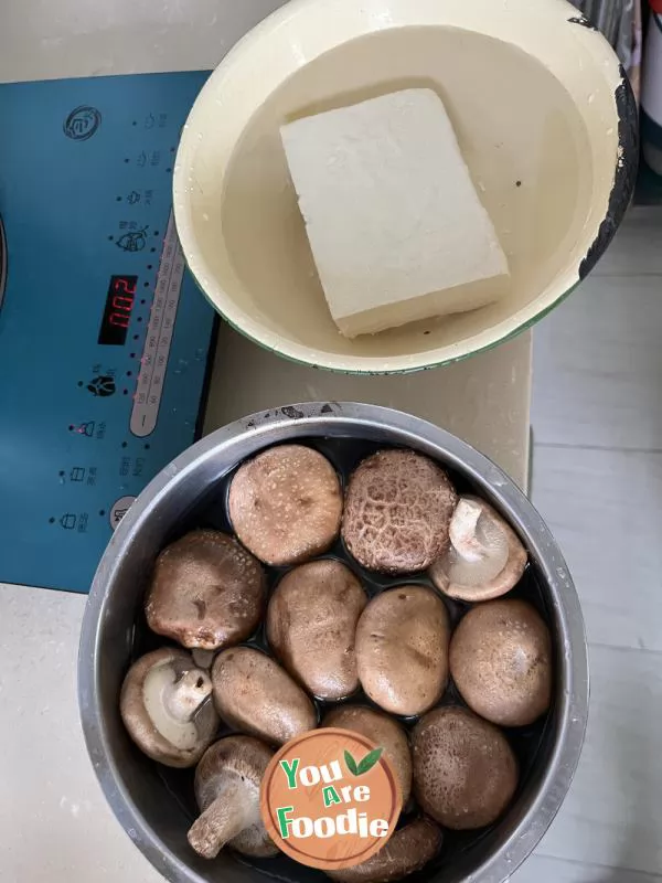 Braised Tofu with Mushrooms