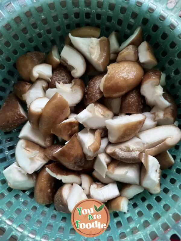 Braised Tofu with Mushrooms