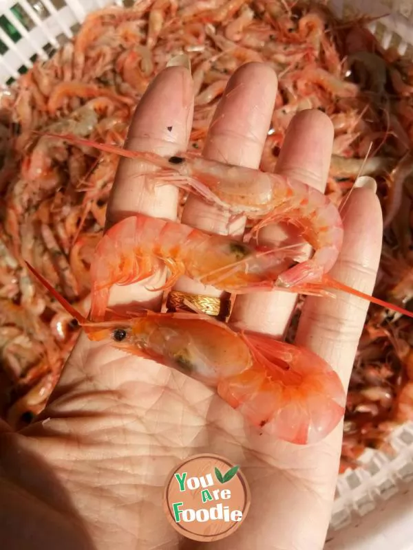 Wild shrimp making