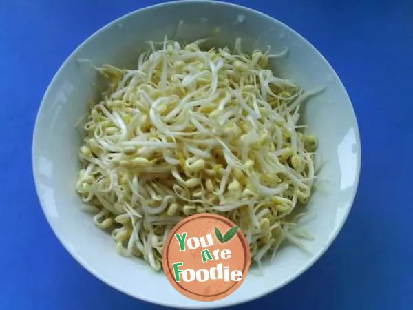 Spicy green bean sprouts