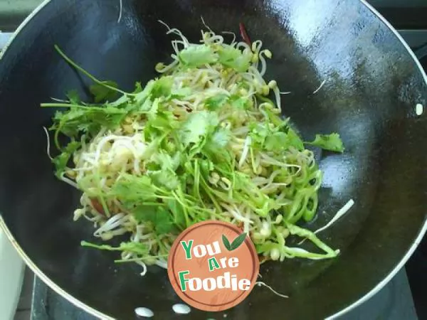 Spicy green bean sprouts