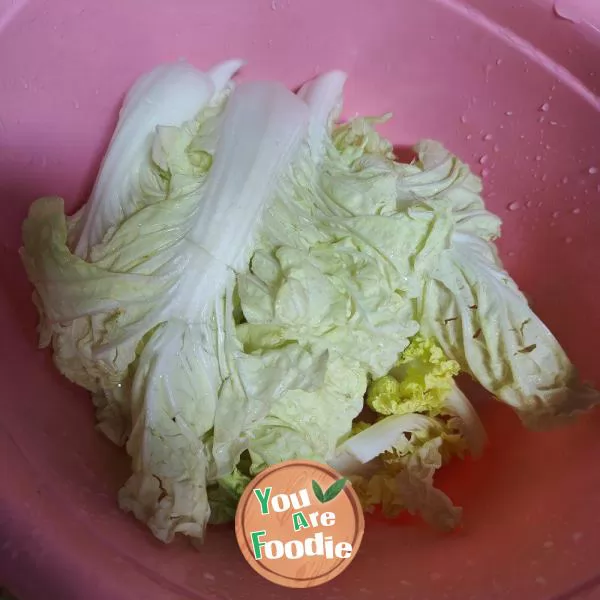 Braised Tofu with Cabbage