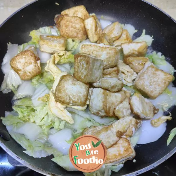 Braised Tofu with Cabbage