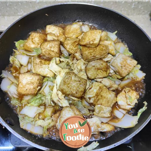 Braised Tofu with Cabbage