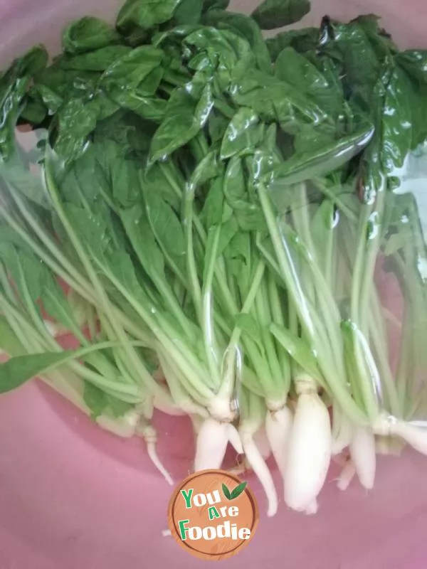 Spicy radish sprouts