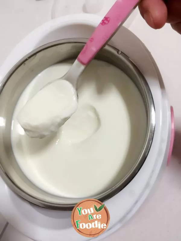 Homemade delicious yogurt