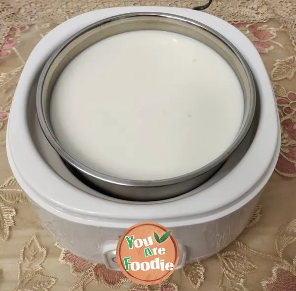 Homemade yogurt