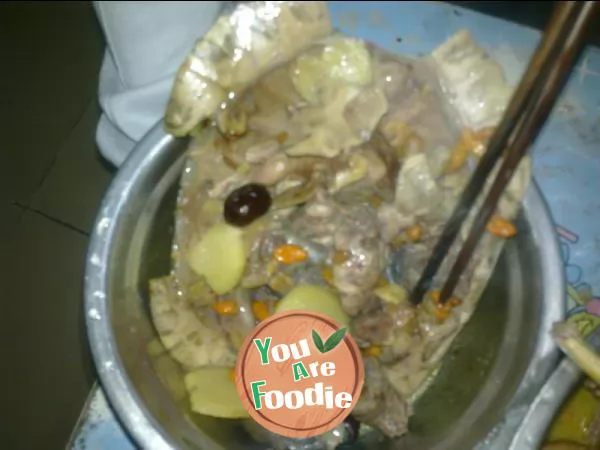 Stewed chicken with tortoise