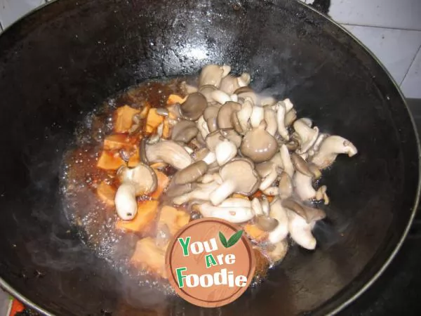 Braised mushrooms with Tofu