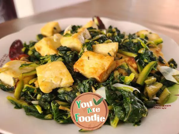 Stir fried Tofu with Rehmannia Leaves