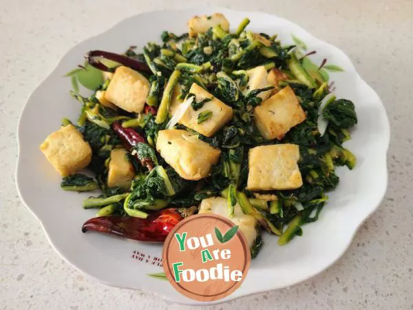 Stir fried Tofu with Rehmannia Leaves