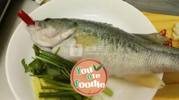 Steamed Perch