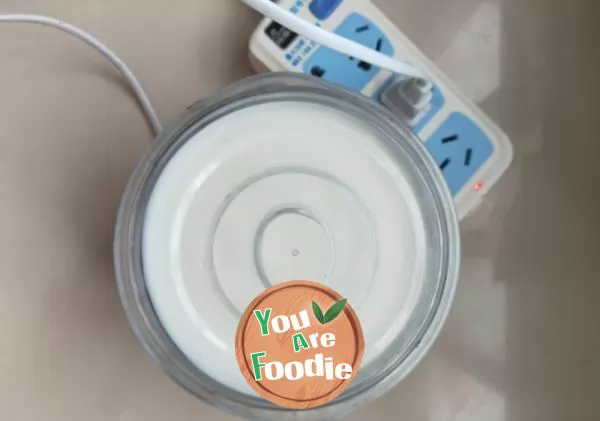 It's better to make your own yogurt with shoe glue | it's super simple and delicious