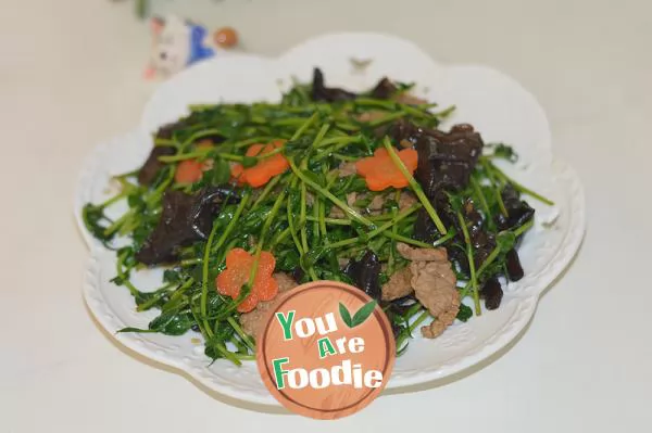 Fried-agaric-with-pea-sprouts----small-garden-series-on-the-windowsill