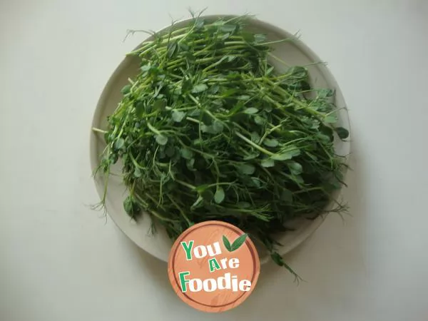 Fried agaric with pea sprouts -- small garden series on the windowsill