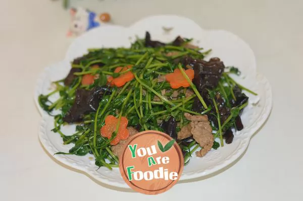 Fried agaric with pea sprouts -- small garden series on the windowsill