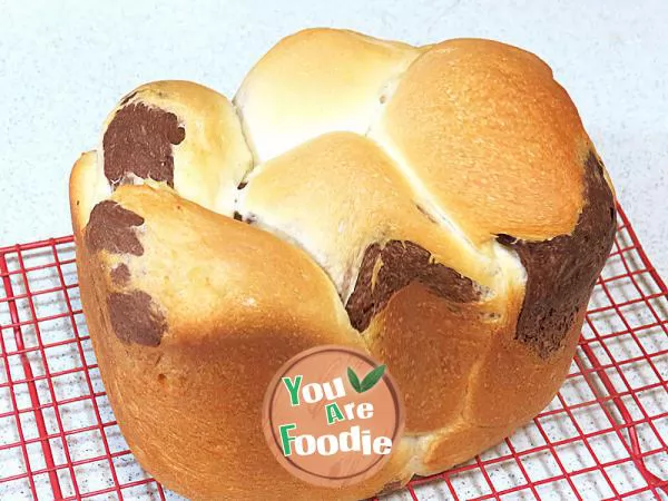 Bread machine version [cocoa two-color bread]