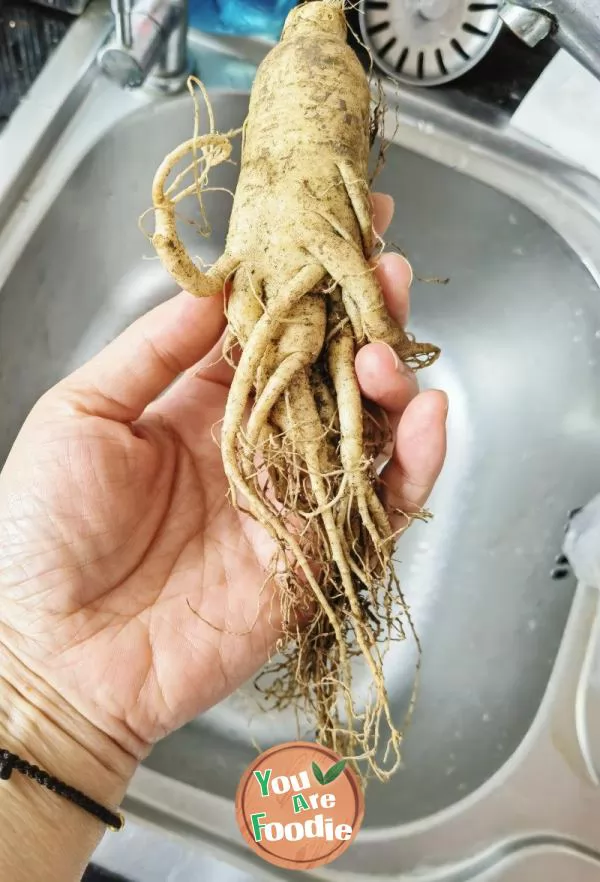 Fresh Ginseng and Chinese Yam Rib Soup