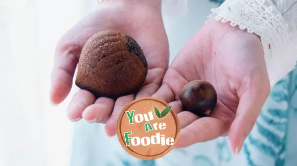 Madeleine-chestnut-[diary-of-first-taste]