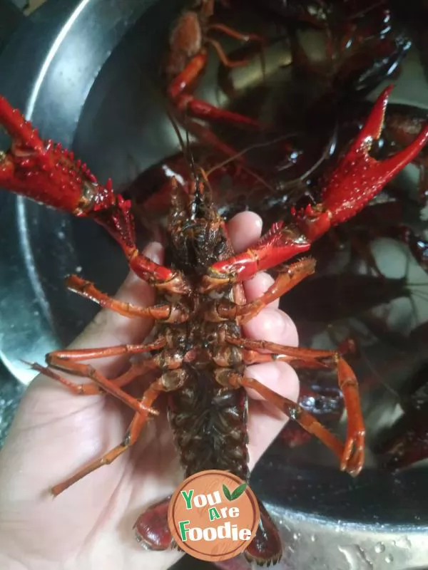 Original crayfish