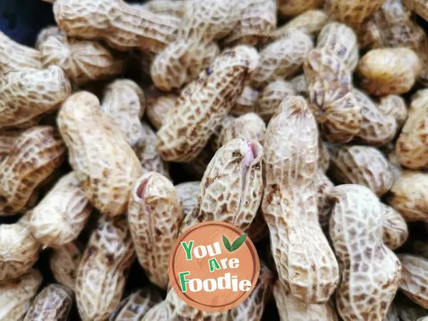 Boiled peanuts