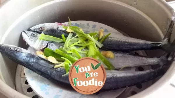 Steamed Fresh fish -- steamed Spanish mackerel