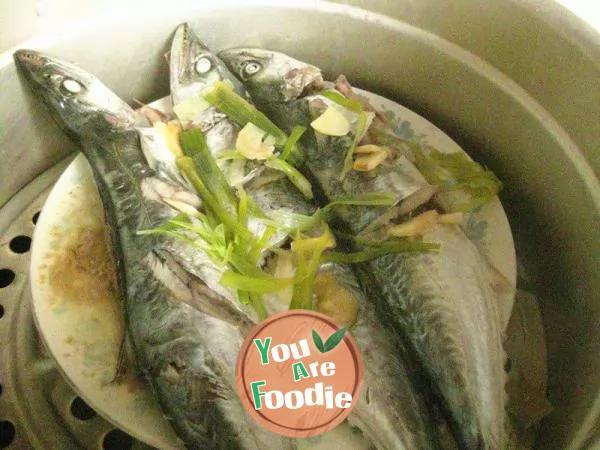 Steamed Fresh fish -- steamed Spanish mackerel